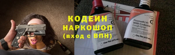 мдпв Богородск