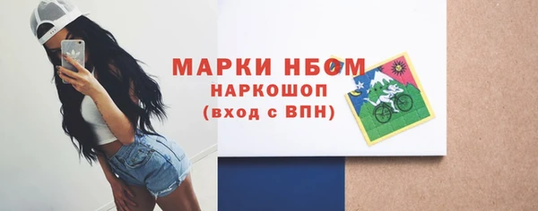 мдпв Богородск