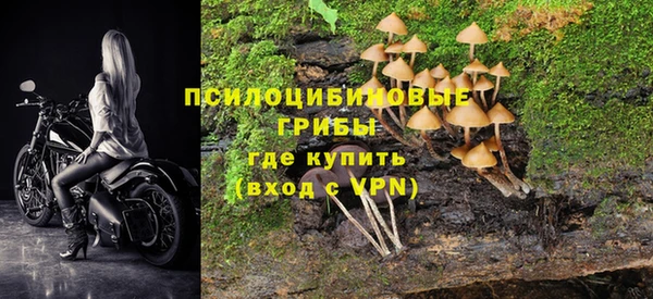 дурь Сосновоборск