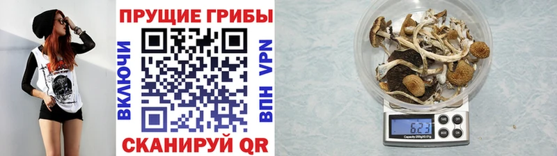 Галлюциногенные грибы MAGIC MUSHROOMS  Воркута 